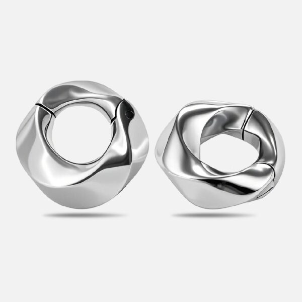 Twist Ring Ear Hangers