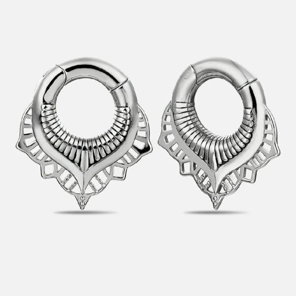 Ear Weights Hangers Expansions